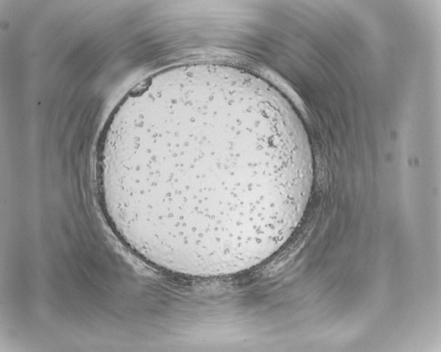 X0000070381099200607072148