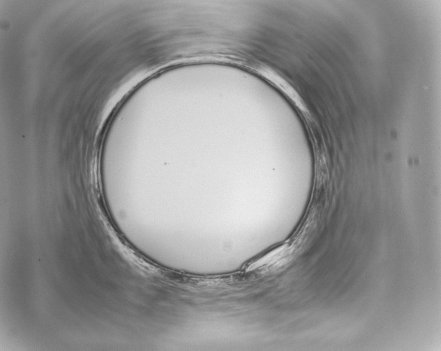 X0000070381101200607072148