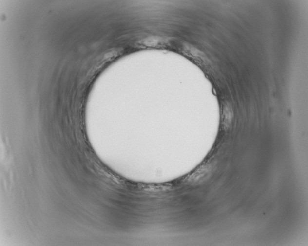 X0000070381105200607072147