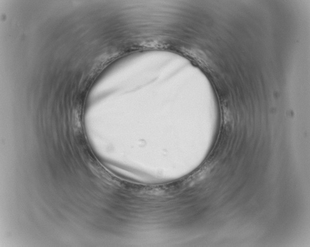 X0000070381106200607072147