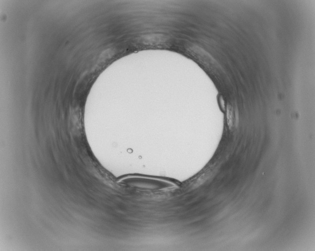 X0000070381107200607072147