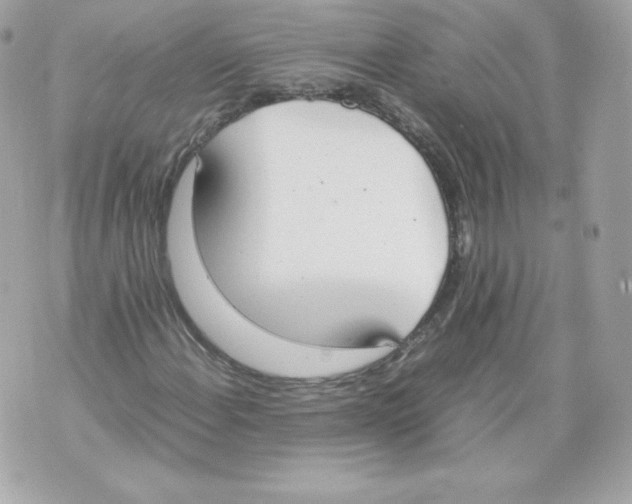 X0000070381108200607072147