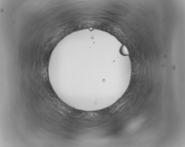 X0000070381109200607072147