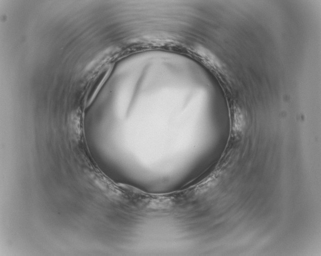 X0000070381110200607072147