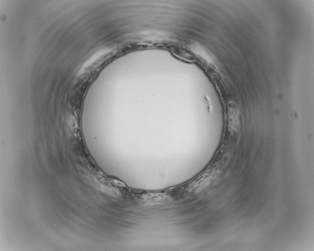 X0000070381112200607072147