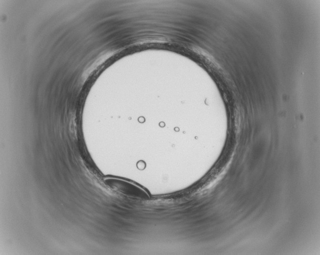 X0000070381113200607072147