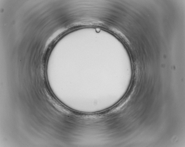 X0000070381114200607072147