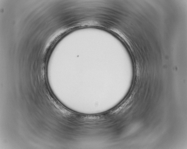 X0000070381115200607072147