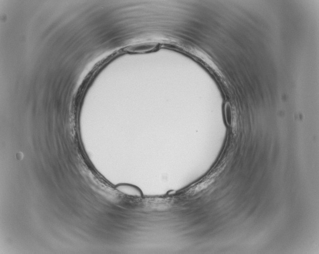 X0000070381116200607072147