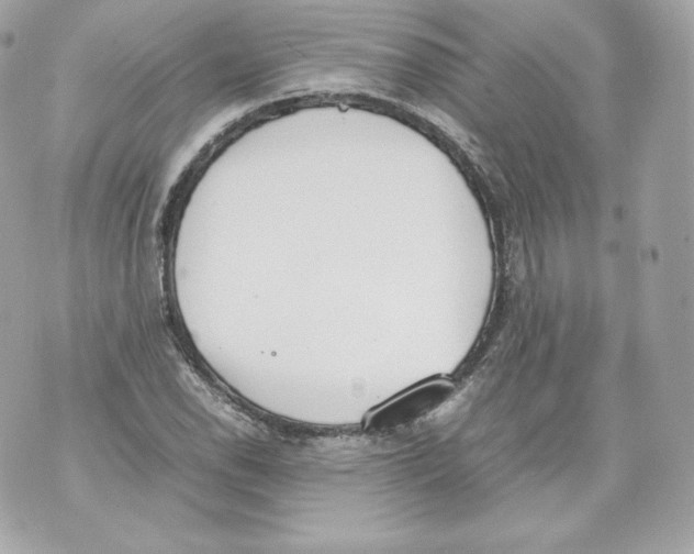 X0000070381118200607072147