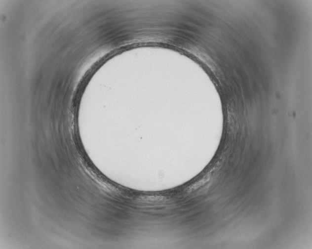 X0000070381119200607072147