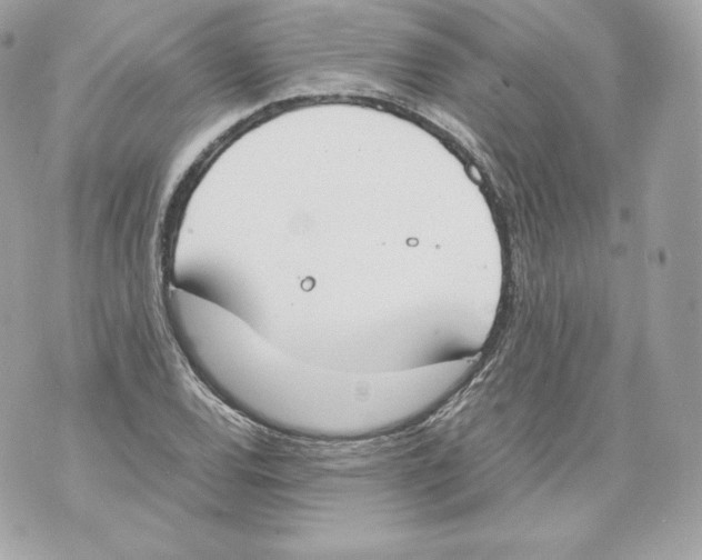 X0000070381120200607072147