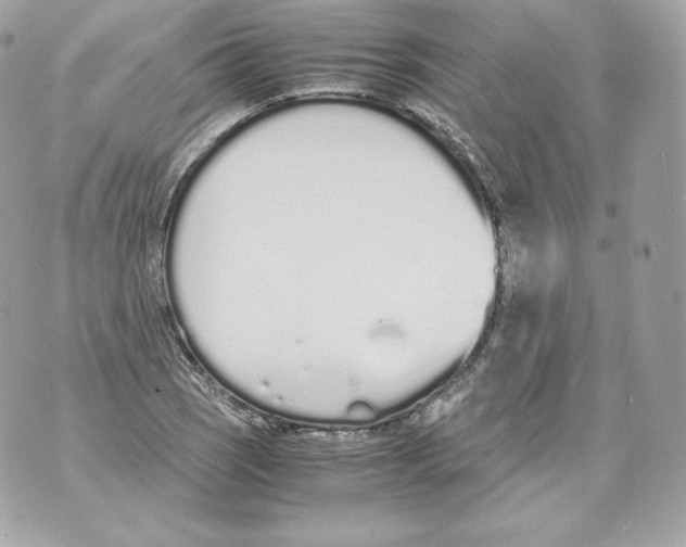 X0000070381121200607072147