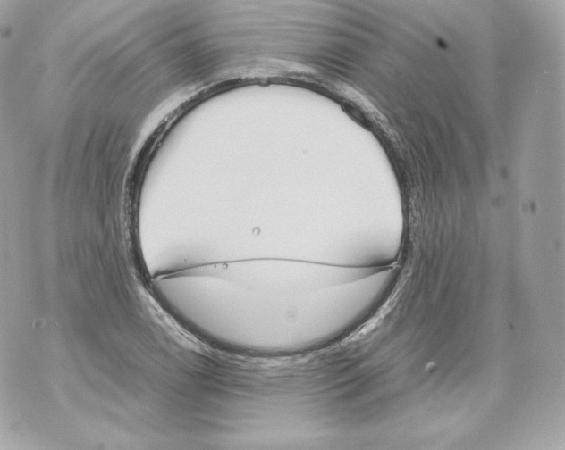 X0000070381122200607072147