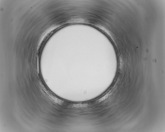 X0000070381123200607072147