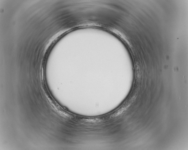 X0000070381125200607072147