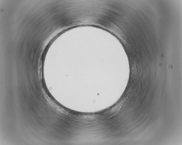 X0000070381126200607072147