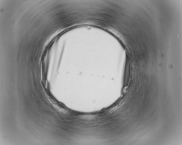 X0000070381127200607072147