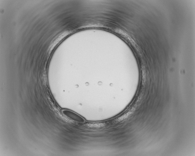 X0000070381129200607072147