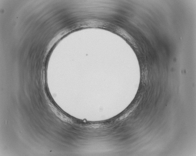 X0000070381130200607072147