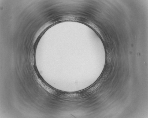 X0000070381131200607072147