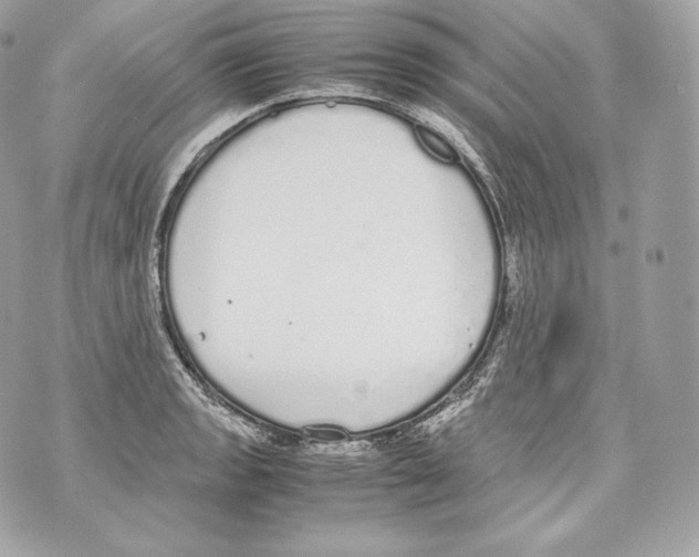 X0000070381133200607072147