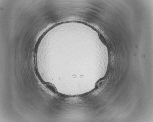 X0000070381134200607072147