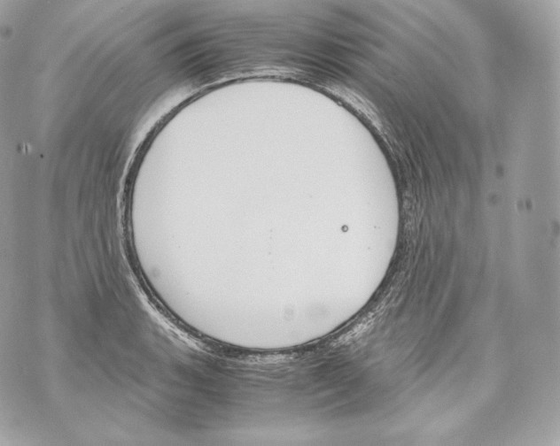 X0000070381135200607072147