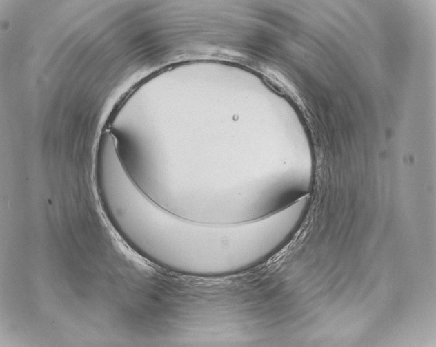 X0000070381136200607072147