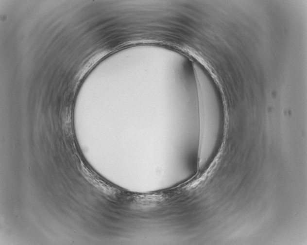 X0000070381137200607072147