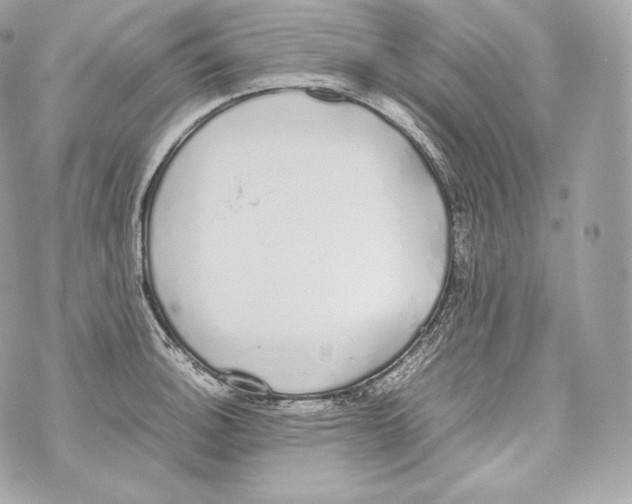 X0000070381140200607072147