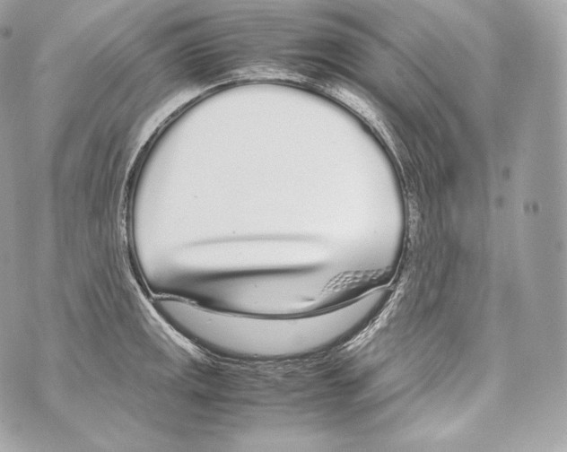 X0000070381141200607072147