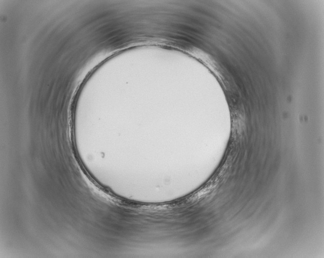 X0000070381143200607072147