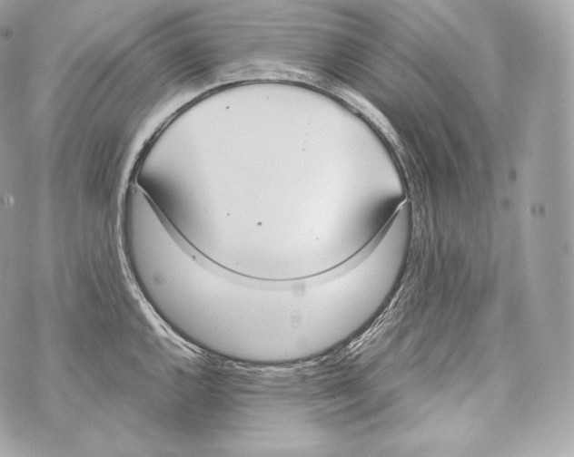 X0000070381144200607072147