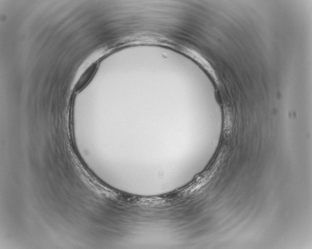 X0000070381146200607072147