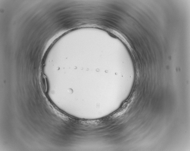 X0000070381149200607072147