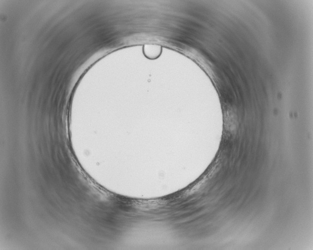 X0000070381150200607072147