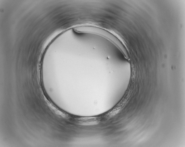 X0000070381151200607072147