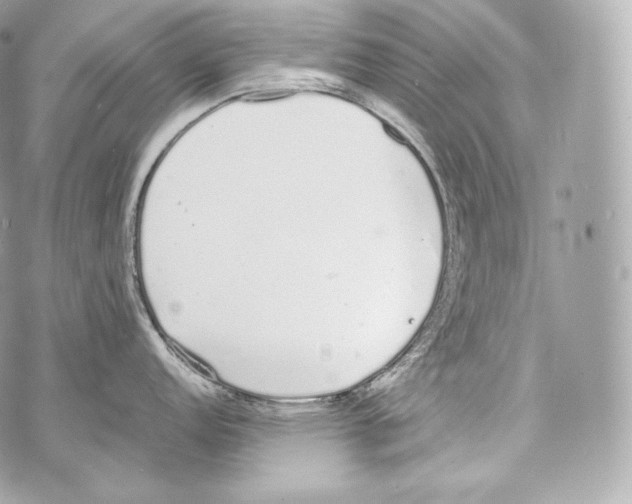 X0000070381152200607072148