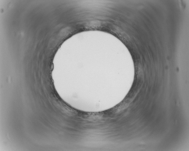 X0000070381153200607072147