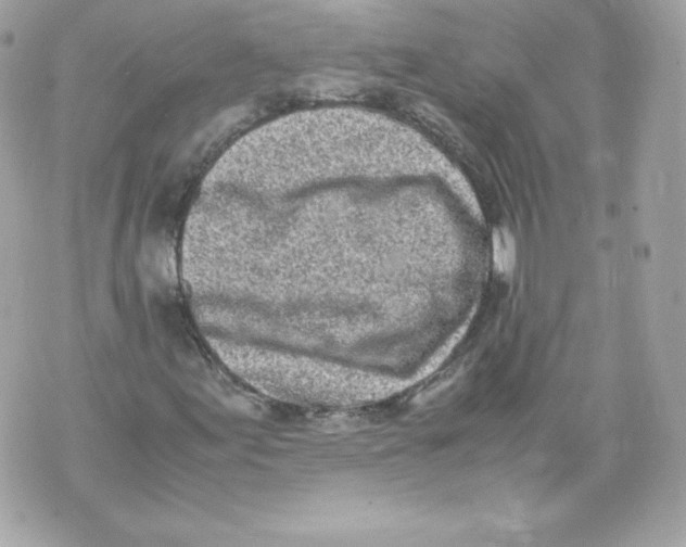 X0000070381155200607072147