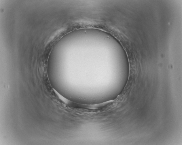 X0000070381157200607072147