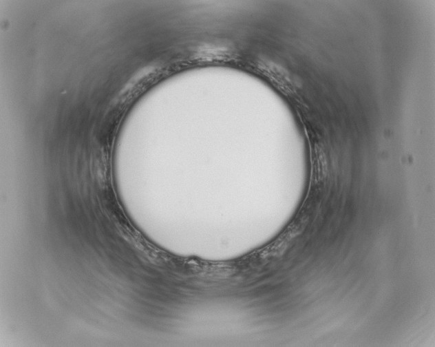 X0000070381158200607072147