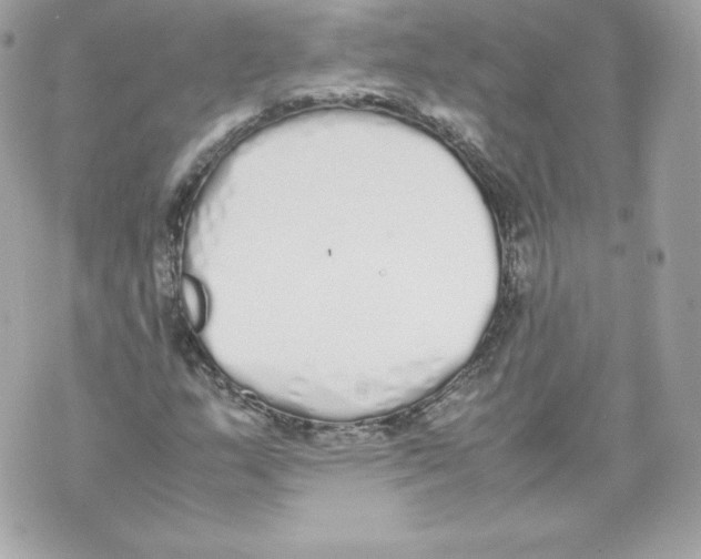 X0000070381159200607072147