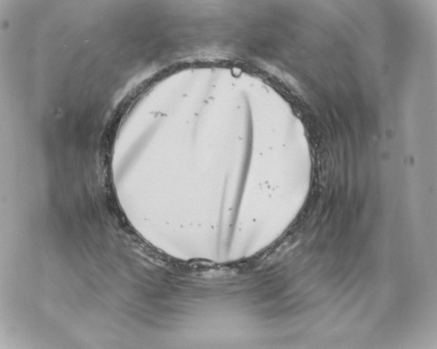 X0000070381160200607072147