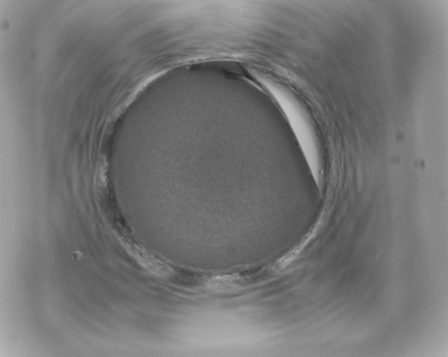 X0000070381161200607072147