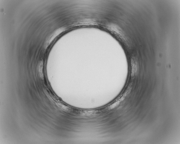 X0000070381162200607072147