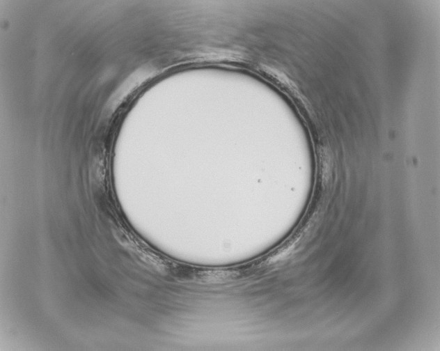 X0000070381163200607072147