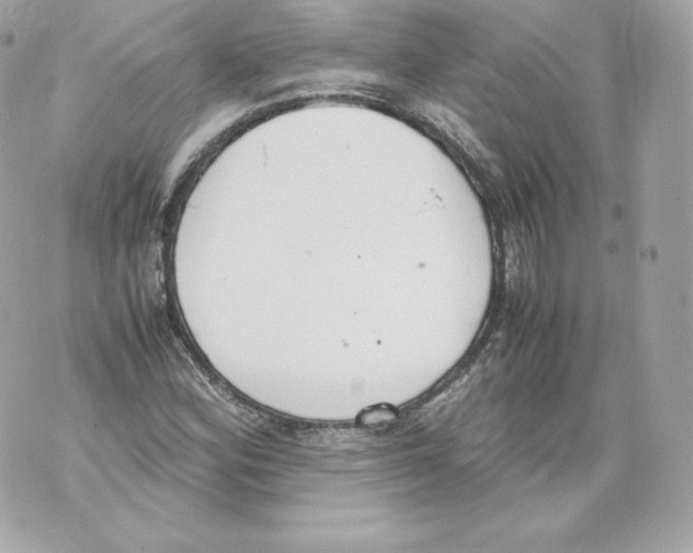 X0000070381164200607072147