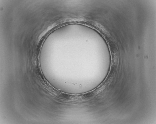 X0000070381165200607072147